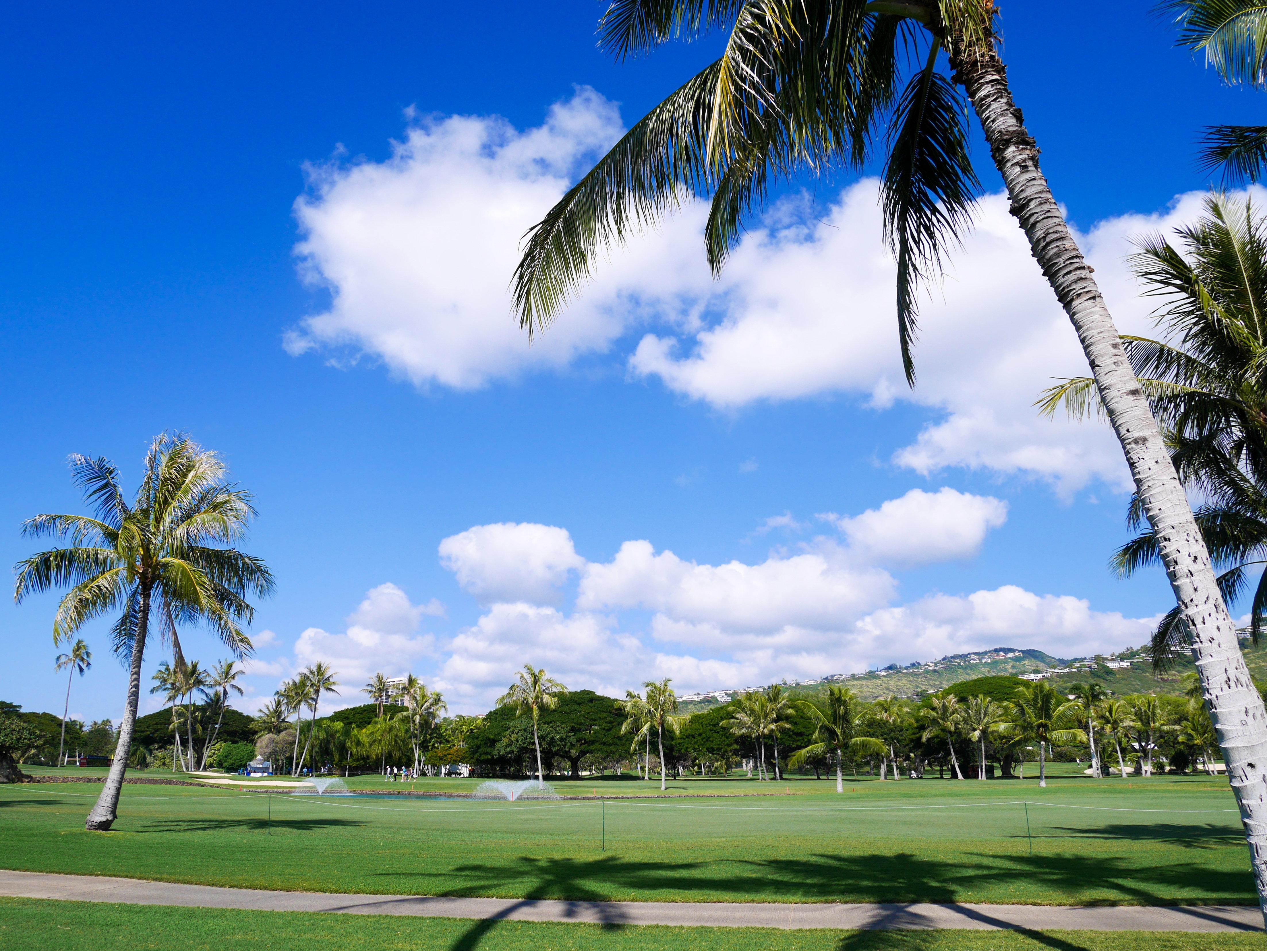 הונולולו Holiday Inn Express Waikiki By Ihg מראה חיצוני תמונה